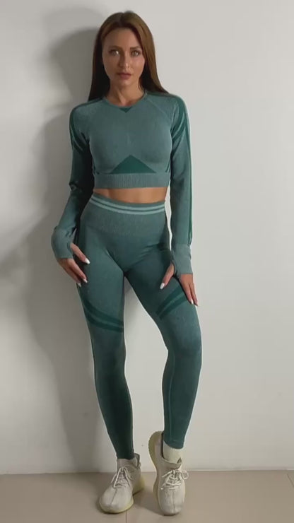 Seamless Yoga Pants Sports Gym Fitness Leggings Or Long Sleeve Tops Outfits Butt Lifting Slim Workout Sportswear Clothing